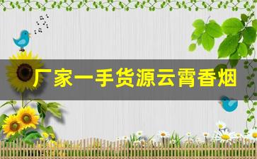 厂家一手货源云霄香烟价格-云霄香烟批发5-10元一条