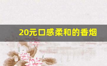 20元口感柔和的香烟图片-二十元左右的香烟推荐图片