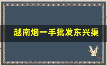 越南烟一手批发东兴渠道-东兴市防城港越南烟批发