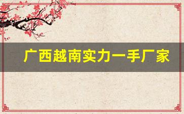 广西越南实力一手厂家-化工产品出口越南哪家好