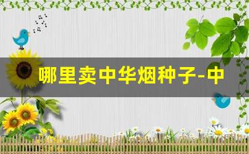 哪里卖中华烟种子-中华烟用的什么牌的种子