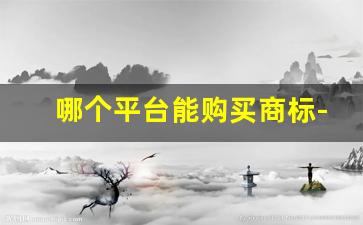 哪个平台能购买商标-购买商标的平台叫什么平台