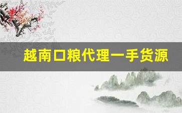 越南口粮代理一手货源-越南进口食品现在能购买吗