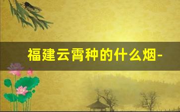 福建云霄种的什么烟-漳州云霄最出名的烟
