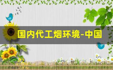 国内代工烟环境-中国允许有代工烟吗