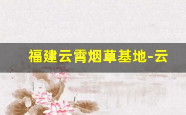 福建云霄烟草基地-云霄烟草公司的官网