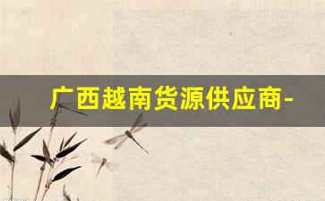 广西越南货源供应商-越南商品批发代理