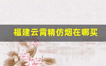 福建云霄精仿烟在哪买