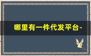哪里有一件代发平台-价格比较低的一件代发平台