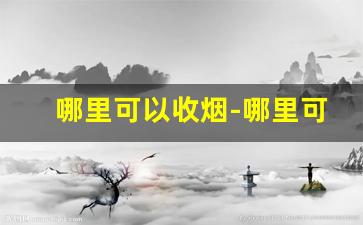 哪里可以收烟-哪里可以回收烟啊