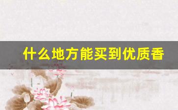 什么地方能买到优质香烟