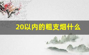 20以内的粗支烟什么好抽-50以内粗支烟哪几种好抽