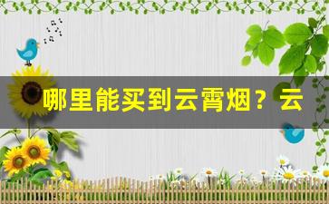 哪里能买到云霄烟？云霄香烟多少钱-云霄烟价格一览表2024