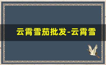 云霄雪茄批发-云霄雪茄购买指南