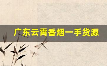 广东云霄香烟一手货源代理