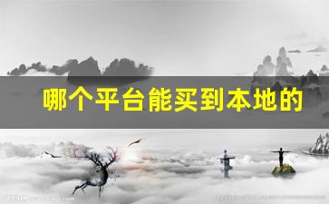 哪个平台能买到本地的东西-找不到的东西要在哪个平台买