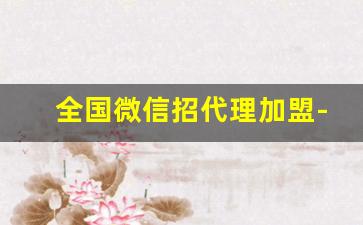 全国微信招代理加盟-同城加盟代理合作