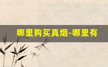 哪里购买真烟-哪里有卖正品的烟