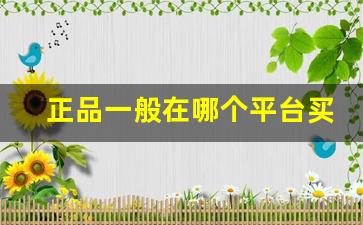 正品一般在哪个平台买-买正品在哪个平台买比较正规