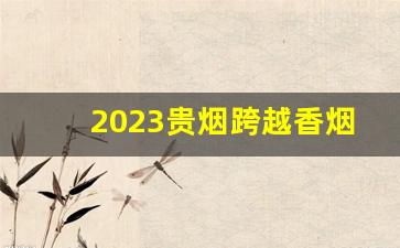 2023贵烟跨越香烟价格表图-2023贵烟跨越价目表图片