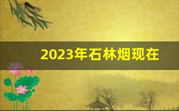 2023年石林烟现在多少钱一包-石林烟系列价格