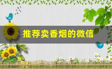 推荐卖香烟的微信