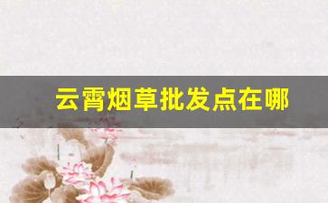 云霄烟草批发点在哪