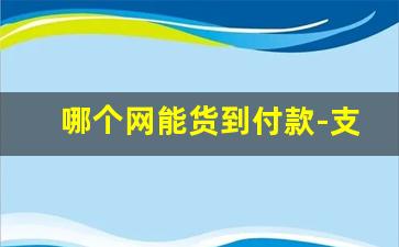 哪个网能货到付款-支持货到付款的手机购物软件