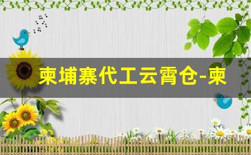 柬埔寨代工云霄仓-柬埔寨目前代工厂加工行业