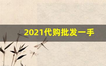 2021代购批发一手最低报价-一手货源真实价格