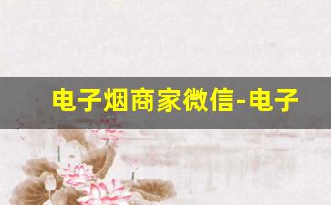 电子烟商家微信-电子烟开店怎么弄