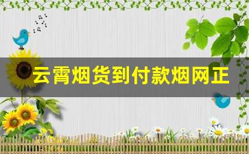 云霄烟货到付款烟网正品非精仿-云霄烟30元一条批发