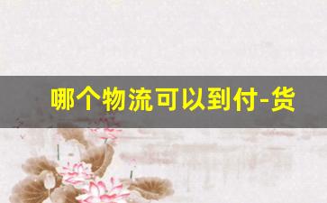 哪个物流可以到付-货物托运找物流还是平台