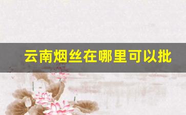 云南烟丝在哪里可以批发-云南烟丝市场哪里有