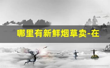 哪里有新鲜烟草卖-在什么地方能买到烟草