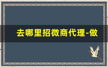 去哪里招微商代理-做微商一般在哪里招代理