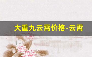大重九云霄价格-云霄大重九礼盒