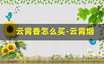 云霄香怎么买-云霄烟怎么入手