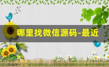 哪里找微信源码-最近很火的微信代码