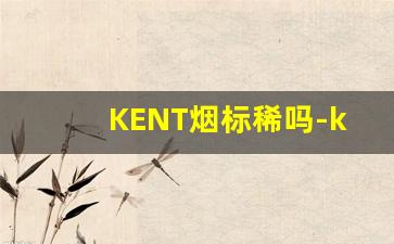 KENT烟标稀吗-kent香烟银灰色包装