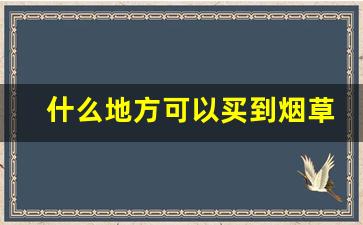 什么地方可以买到烟草-哪里有卖便宜烟草的
