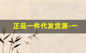 正品一件代发货源-一件代发的货源哪里有