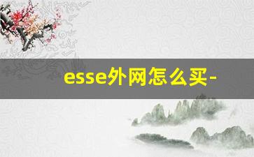 esse外网怎么买-国内能买到esse吗