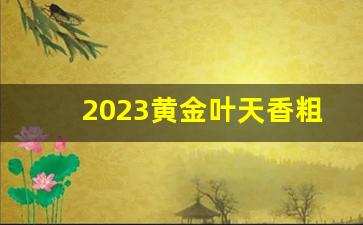 2023黄金叶天香粗支-黄金叶天香1951细支