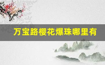 万宝路樱花爆珠哪里有卖-万宝路双爆珠在上海哪里有卖的