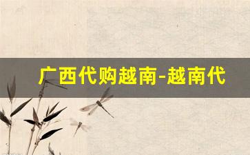 广西代购越南-越南代购批发