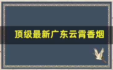 顶级最新广东云霄香烟一手货源