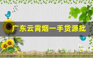 广东云霄烟一手货源批发香烟