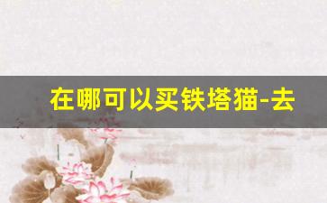 在哪可以买铁塔猫-去哪里可以买到铁塔猫正品