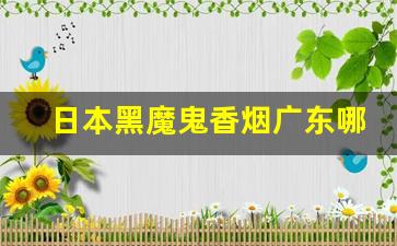 日本黑魔鬼香烟广东哪能买到-黑魔鬼香烟在上海哪里有卖